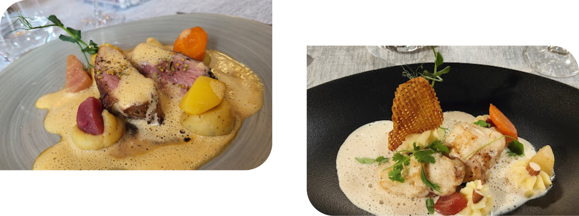 Le Lion D'Or - Restaurant Candé-sur-Beuvron - top resto CANDE-SUR-BEUVRON